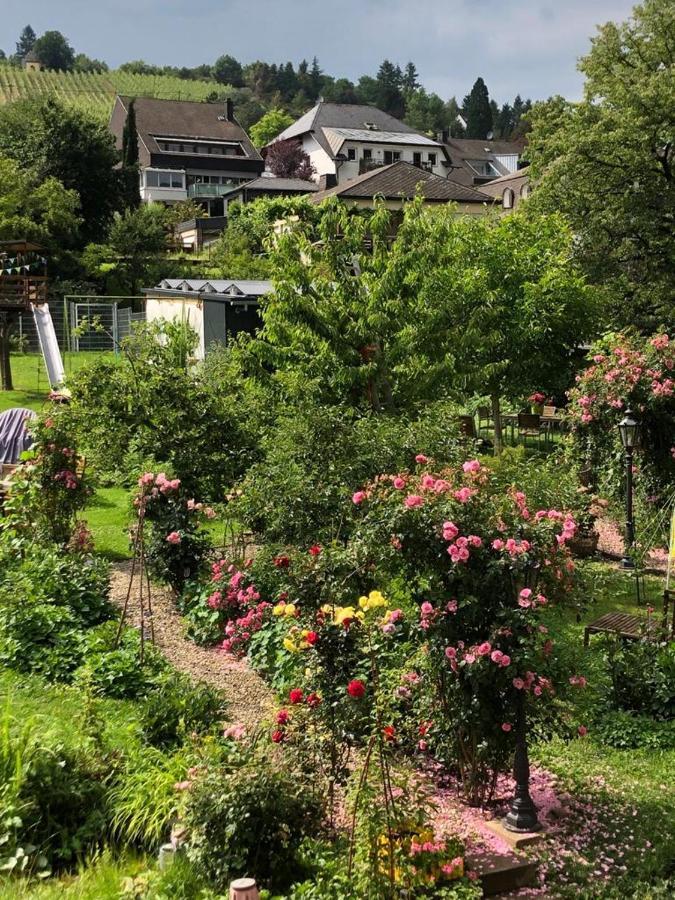 Ferienwohnungen Perlina Karpat Bernkastel-Kues Exterior photo